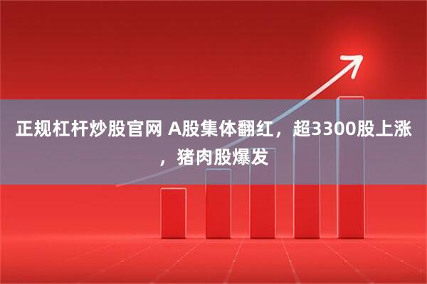 正规杠杆炒股官网 A股集体翻红，超3300股上涨，猪肉股爆发